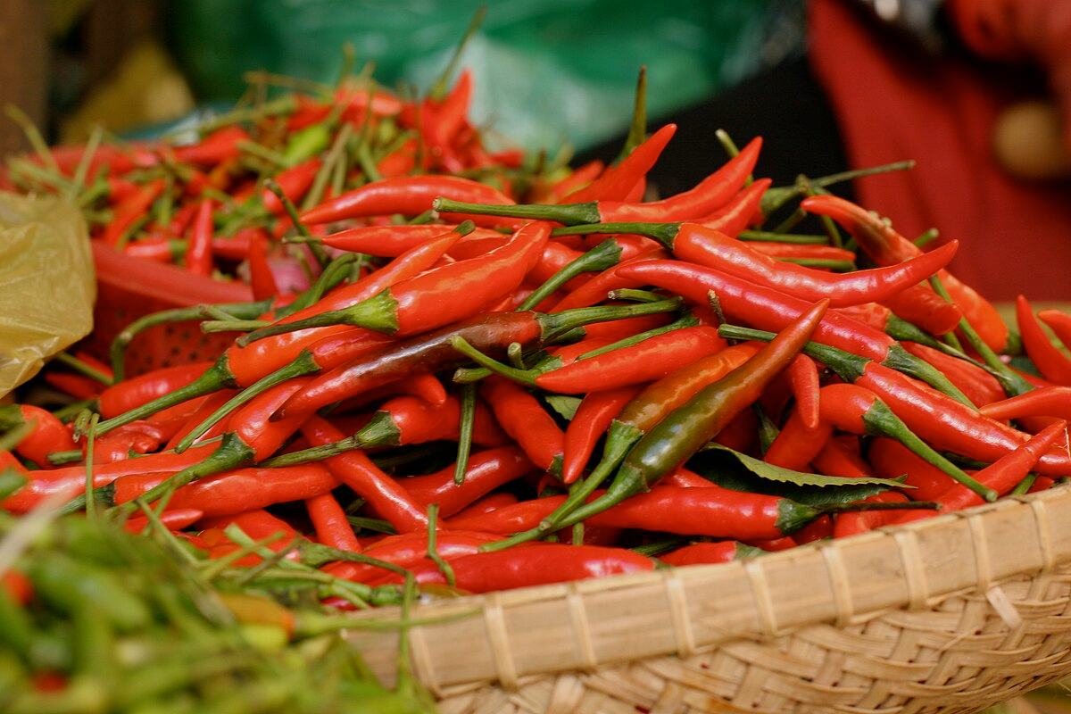 ớt tươi